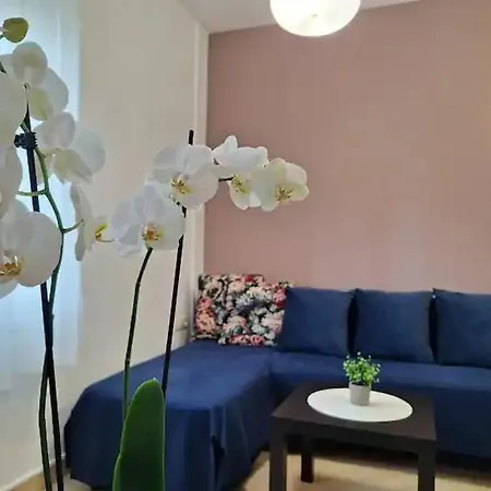 Charming * Пореч